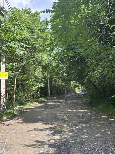 A dirt road lined with lush green trees forms a tunnel-like canopy. Sunlight filters through the leaves, casting dappled shadows on the wet and potholed surface of the road. On the left side of the road, a concrete pole stands with a yellow sign attached to it. The sign contains images and text in Russian, cautioning against open flames and urging to protect the forest from fire. The road appears to lead into the distance, disappearing into a hazy, sunlit opening. This scene is located in Plastunka, Russia.