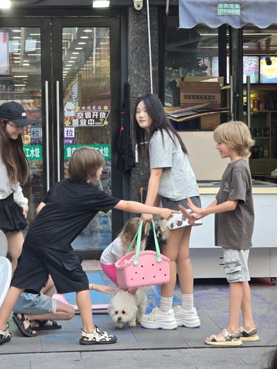 This image captures a candid moment on a street in Linping District, China, likely during daylight hours given the bright lighting. The scene features a group of people and a small white dog.

In the foreground, a boy in a black t-shirt and shorts is seen from behind, appearing to be engaged in an activity involving a pink basket and a green object. To his left, a young woman with long dark hair and a light grey t-shirt is looking down, possibly interacting with the boy or the dog. She is wearing white platform sneakers with frilly socks.

A boy with blonde hair, wearing a dark t-shirt and denim shorts, is positioned behind the young woman, looking down and smiling. He's wearing sandals.

A small, fluffy white dog is lying down on the pavement next to a pink basket. Further back, a young woman in a white t-shirt and pink shorts is also visible.

The background shows the exterior of a store with glass doors. Signs on the doors display Chinese text. One prominent sign reads "欢迎光临 营业中 WIFI" which translates to "Welcome, Open, WIFI". Another sign indicates "油檀黄精品高温炭" and "中国制造", suggesting the store might sell charcoal products. The overall impression is a casual, everyday scene on a commercial street.