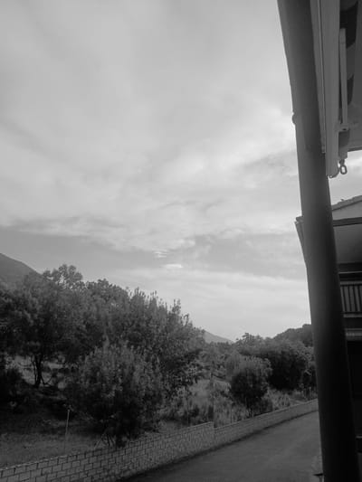 This is a black and white, vertically oriented photograph taken from a slightly elevated perspective, possibly a balcony or window. The foreground is dominated by a dark, horizontal structural element that appears to be a railing or awning. Below this, the sky takes up a significant portion of the frame, filled with soft, wispy clouds against a bright sky.

To the right, a densely wooded hillside slopes downwards. The trees are varied in size and texture, with some appearing more mature and larger than others. The hillside is partially obscured by shadows, suggesting it might be late afternoon or early morning. At the bottom right of the image, a paved pathway constructed of bricks or pavers runs along the edge of the scene, separating the grassy area and trees from what appears to be a darker, less defined area, possibly a road or further ground.

The overall impression is one of a natural landscape viewed from a man-made structure. The lighting is soft and diffused, indicating overcast conditions or a time of day with indirect sunlight. There is no visible text within the image. The scene is serene and peaceful, with no people or specific events depicted. The location context of Navaluenga, Spain, suggests a rural or semi-rural setting, consistent with the natural elements observed.