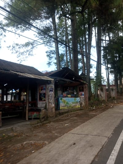 The scene in Sat Thay (East), Myanmar, depicts a roadside environment under an overcast sky. In the foreground, a concrete sidewalk runs along the right, separating a dirt path with scattered debris from a darker asphalt road where a partial white line is visible.
Two adjacent structures occupy the midground. The structure on the left is an open-sided shelter with a rusted corrugated metal roof, supported by wooden posts. Its interior appears dark, with a red object and obscured furnishings visible. Immediately to its right is a small, open-fronted shop, also topped with a corrugated metal roof. This shop displays various packaged goods and beverages on shelves behind a counter. A green and yellow banner, advertising a product, is draped across the lower front of the counter. The shop's support columns feature faded posters, one of which includes the text "ON V."
Numerous tall, slender pine trees with dark green foliage stand prominently behind and to the right of the structures, extending into the light grey, cloudy sky. Multiple black utility lines are strung horizontally across the upper portion of the frame, passing between the tree trunks and above the structures. Further to the right, beyond the shop and trees, dilapidated concrete posts or partial wall segments are visible. No people are present, and no active interactions or specific actions are depicted.