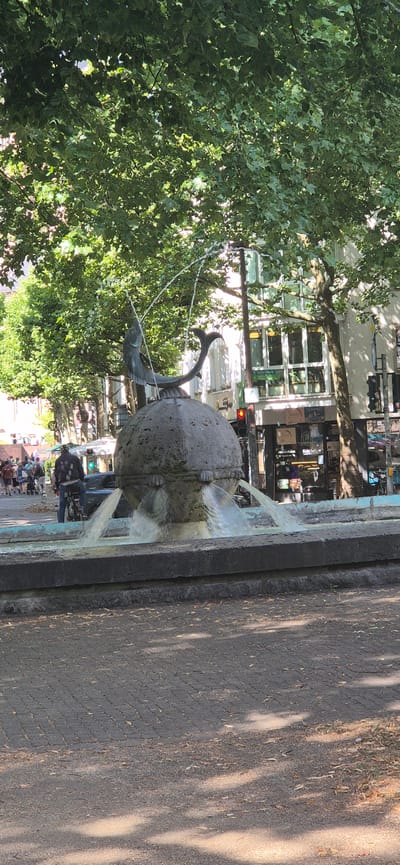 The image shows a fountain in a city square in Mainz, Germany. The fountain has a large, round basin with water spouting from three points, and a sculpture of a fish on top, from which water also sprays. The fountain is surrounded by a stone edge, and a paved walkway in front of it. In the background, there are trees, buildings, and people walking. One person on a bicycle is visible in the foreground. The scene is bathed in sunlight, casting shadows from the trees.