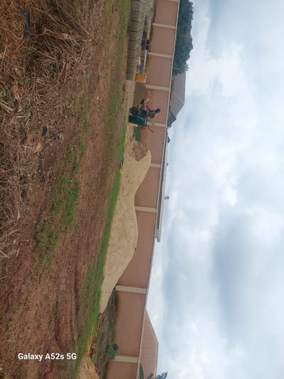 A low-angle, vertical, medium shot captures a scene in Umudioka, Nigeria, with a construction or landscaping area. A pile of light brown sand dominates the foreground, sloping upwards and to the right. To the left of the sand pile, dry, brown grass and some sparse green vegetation are visible, interspersed with scattered debris. A wheelbarrow, primarily green with black accents, is positioned near the sand pile, containing a small amount of sand. Two figures, appearing as construction workers, are near the wheelbarrow; one is bent over, seemingly interacting with the wheelbarrow, while the other stands upright, facing away from the camera. A light beige building with a cream-colored trim runs along the right side of the frame, its roofline visible at the top edge. In the background, lush green trees and more buildings are partially obscured. The sky is overcast with soft, white clouds. The bottom left corner of the image displays the text "Galaxy A52s 5G."