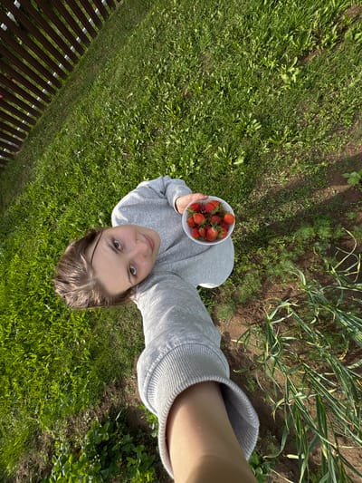A person is taking a selfie in a garden in Дресвяново, Russia. They are holding a white bowl filled with strawberries and are wearing a grey sweatshirt. The person has brown hair and green eyes and appears to be smiling. The background of the image shows a garden with rows of plants, including what appears to be garlic and dill, as well as a patch of grass and a wooden fence. The sun is shining, casting shadows on the ground, suggesting it is daytime. The overall mood of the image is cheerful and relaxed.