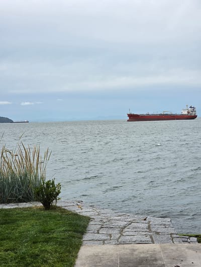 This image depicts a wide expanse of choppy water with a large, red cargo ship docked in the distance. The sky above is a pale, hazy blue, suggesting an overcast or hazy day. To the right of the frame, a paved walkway made of large, grey stones meets a lush, green grassy area. The grass is neatly mowed and slopes slightly towards the water. Some tall, dry grasses and a small bush are visible at the edge of the lawn, closest to the water. The water's surface is textured with numerous ripples, indicating a gentle breeze or current. The cargo ship is long and red with a white superstructure at the stern, appearing to be stationary. The image appears to be taken from a waterfront park or promenade. The location is West Vancouver, Canada. No text is visible in the image.