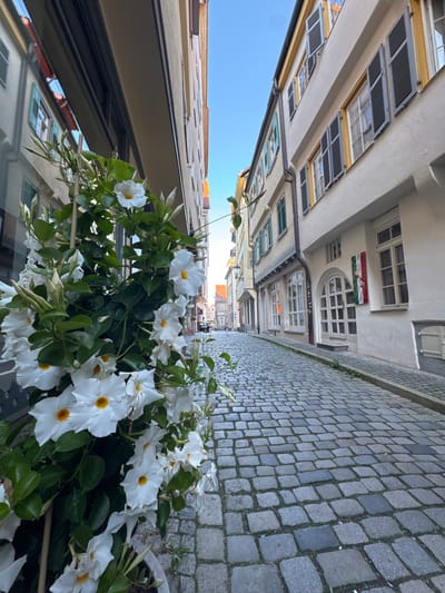 This is a street-level, wide-angle, eye-level photograph of a narrow cobblestone street in Esslingen am Neckar, Germany. The street is lined with historic, multi-story buildings constructed of stone and stucco, with window shutters and arched doorways. On the left side of the street, a lush green plant with abundant white flowers and yellow centers is in the foreground, partially obscuring the buildings. The sky above is clear and blue. The perspective suggests the photographer is standing in a pedestrian area, looking down the street which curves slightly to the right and recedes into the distance. The overall impression is one of old-world charm and European city architecture.