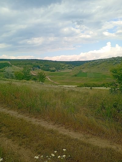 This media file depicts a scenic landscape in Buțeni, Moldova. The scene is dominated by rolling green hills covered in lush vegetation and scattered trees. A dirt path winds its way through the landscape, suggesting a rural or natural setting. In the foreground, tall, dry grass and a few small white flowers are visible, with another dirt path leading into the frame from the bottom left. The middle ground reveals cultivated fields, possibly of crops, interspersed with more greenery. The background features a series of undulating hills, some covered in denser foliage, creating a layered effect. The sky above is a mix of blue sky and heavy, grey and white clouds, indicating a possibly overcast or changeable weather day. The overall impression is one of natural beauty and tranquility. There are no people or objects explicitly visible, and no text is present in the image. The lighting suggests it could be daytime, possibly late afternoon or evening, given the soft light and cloud cover.