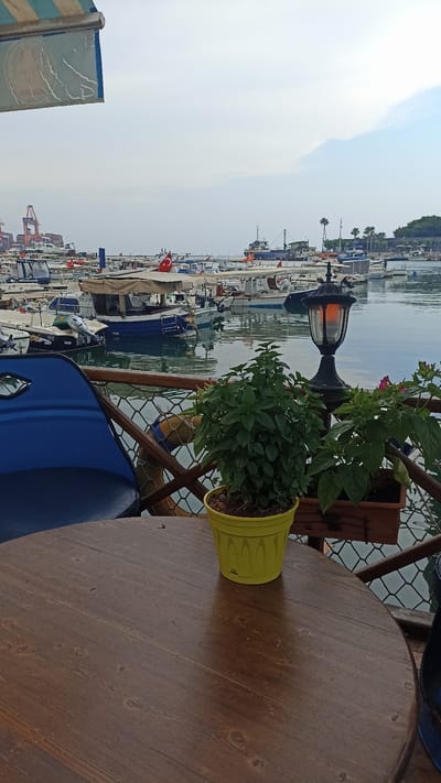 A high-angle, medium shot shows a waterfront scene at a harbor in Mersin, Turkey. In the foreground, a round wooden table occupies the lower portion of the frame. To the right of the table, a bright yellow pot contains a lush green plant. Behind the plant and table, a wooden railing separates the viewer from the harbor. The railing encloses a body of water where numerous small fishing boats are moored. The boats are various shades of white and blue, with some featuring canvas awnings and Turkish flags. In the background, larger ships and port cranes are visible on the horizon, hinting at industrial activity. The sky is overcast with diffused sunlight. To the left, a portion of a blue chair is visible. The scene depicts a tranquil view of a working harbor, likely from a cafe or restaurant overlooking the water.