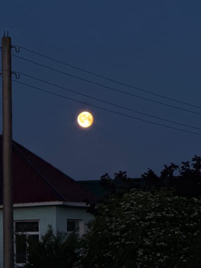 The image displays a night or late dusk scene, featuring a prominent, bright, yellowish-orange full moon against a dark blue sky. Several thin, dark utility lines stretch diagonally across the sky from the lower left, passing in front of the moon and extending towards the upper right. These lines are attached to a dark, horizontal utility pole or crossarm visible at the bottom left of the frame, which features distinct metal fixtures on its top edge.
On the right side of the image, parts of buildings and dense foliage are visible. A building with a dark red or maroon sloped roof occupies the mid-right. Adjacent to or beneath this roofline, a lighter-colored, possibly light green or blue, section of a building is seen, featuring at least two windows: a smaller square one above and a larger rectangular one below. Dark, leafy trees or bushes frame the far right and top right of the image, with some small white elements that could be blossoms or highlights on leaves. The scene depicts an outdoor setting, likely in a semi-urban or rural area of Лабжанскі сельскі Савет, Belarus. No people or text are visible.