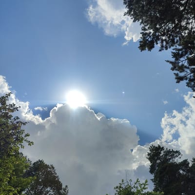 A low-angle, wide shot captures a bright, sunlit sky with scattered clouds, framed by the dark silhouettes of evergreen trees in the upper corners and the tops of leafy trees along the bottom. The sun is a brilliant, white orb partially obscured by a large, fluffy cumulus cloud, casting dramatic rays of light downwards. The sky is a vibrant blue, with some smaller, wispy clouds also present. The overall impression is one of a clear, sunny day, possibly late morning or early afternoon, given the intensity of the sunlight. The foliage suggests a natural outdoor setting, likely a park or forest. The image conveys a sense of natural beauty and the power of sunlight breaking through the clouds.