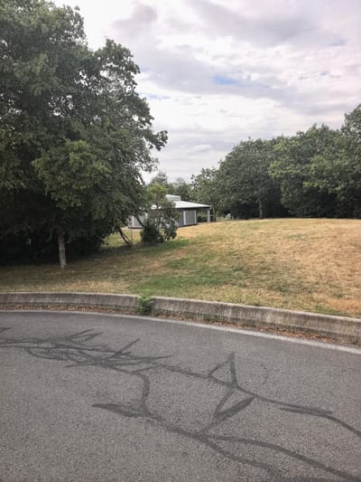 This is a medium shot of a dry, grassy hill next to a road in Saint-Augustin-des-Bois, France. The road in the foreground curves to the left and has some dark marks on its asphalt surface, possibly from tire marks. A concrete curb separates the road from the grassy hill. The hill is covered in dry, yellow-brown grass with some patches of green. Towards the top of the hill, a modern, rectangular building with a white roof and grey walls is visible. It appears to be a single-story structure with some open-sided areas. The building is surrounded by trees. On the left side of the image, large, mature trees with dark green foliage dominate the scene, partially obscuring the view of the sky. The sky is overcast with light grey and white clouds. A few small green plants are growing near the curb. The overall scene depicts a somewhat arid landscape with a modern building in the background.