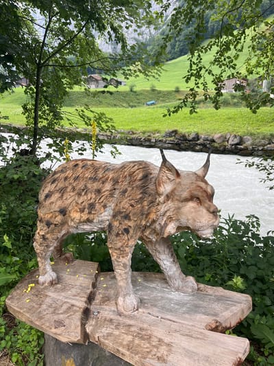 A wooden sculpture of a lynx stands on a natural wooden platform outdoors. The lynx sculpture is detailed, with carved fur patterns and facial features. It is positioned on a split log that has been repurposed as a base, with small yellow flowers scattered on its surface. The background depicts a lush green hillside with scattered wooden buildings, typical of a Swiss Alps village. A fast-flowing river is visible behind the sculpture, bordered by a stone wall and vegetation. The overall scene suggests a scenic outdoor location, likely in Wengen, Switzerland, given the architectural style and mountainous landscape.