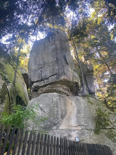 The image depicts a large rock formation in Săcălușești, Romania, commonly known as the "Dancers" or "Pagan Figures." The formation is composed of several large, weathered rocks that have been sculpted by erosion over time, creating distinct shapes resembling figures. These rocks are surrounded by a dense forest of tall trees, with sunlight filtering through the leaves, creating dappled light and shadows on the rocks and the forest floor. In the foreground, a rustic wooden fence is visible, suggesting a designated viewing area or a boundary. The rocks themselves have a rough, textured surface with visible cracks and crevices, and some areas are covered with patches of moss. A small framed image is attached to the rock face near the fence, possibly a religious icon or a memorial. The overall scene is natural and somewhat rugged, highlighting the unique geological feature within its forested environment.