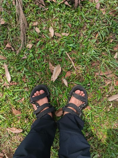 Overhead shot of two feet clad in black outdoor sandals and black pants standing on a grassy ground. Scattered brown leaves and small branches litter the green grass, adding texture. A large branch of unknown origin lies on the upper-left of the ground. The photo is well-lit, with sunlight casting shadows on the right side.