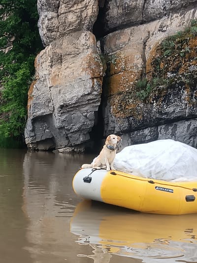 An outdoor medium shot captures a light-colored dog sitting on the edge of a yellow and white raft floating on murky brown water. The dog, wearing a blue collar, is positioned on the left side of the raft, looking to the right. Behind the raft, a large, weathered rock formation with green foliage at its base rises dramatically. The water reflects the scene above, with ripples disturbing the surface. The location is identified as Idrisovo, Russia.