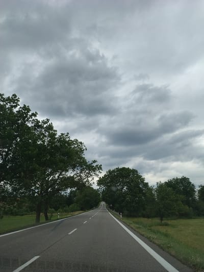 The image depicts a road curving through a rural landscape under a cloudy sky. The perspective is from a low angle, looking upwards and to the right along the asphalt road. The road is marked with white lines. On the left side of the road, a grassy verge transitions into a dense line of green trees. Some of these trees are large and leafy, with one prominent tree in the foreground on the left. On the right side of the road, the verge is also grassy, with more trees further in the distance. The sky is filled with dramatic, grey, and white clouds, suggesting overcast or potentially stormy weather. The lighting is diffused, typical of a cloudy day. There are no people visible in the image. Several small road signs are visible along the side of the road. The overall impression is one of a quiet, natural setting on a day with dynamic cloud formations. The location is indicated as Záhoří, Czechia, which aligns with the European-style road markings and the presence of deciduous trees.