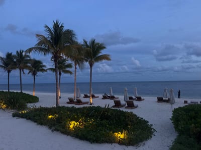 A serene beach scene unfolds under a twilight sky. Palm trees line the shore, their trunks illuminated by subtle lighting. Lounge chairs and closed umbrellas are scattered on the white sand. Lush greenery dotted with warm lights frames the foreground, adding depth. The calm ocean stretches out to the horizon, merging with the darkening sky. A solitary figure stands near the water's edge, possibly capturing the tranquil moment.