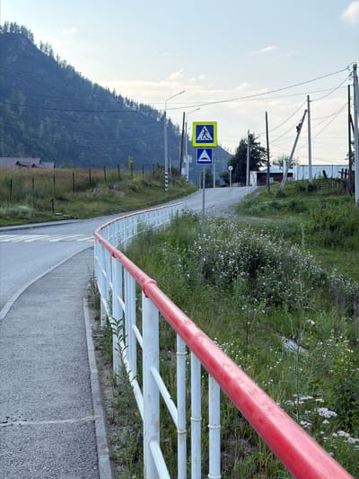The image captures a rural scene in Anos, Russia, with a focus on a pedestrian walkway and its surrounding environment. A concrete walkway curves to the left, bordered by a white metal railing with a red top rail. Beyond the railing, overgrown grass and various wildflowers, predominantly small pink and white blossoms, fill the space. In the background, a paved road with a pedestrian crossing is visible, leading uphill towards a cluster of wooden buildings and a white fence. Two blue traffic signs are mounted on a pole near the road; one depicts a pedestrian crossing, and the other shows a triangular hazard symbol with a white wave, indicating a dip or uneven road surface. Power lines stretch across the scene, supported by utility poles, and a forested mountain slope forms the backdrop. The sky is partly cloudy with a clear, pale blue hue.