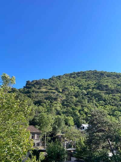 The image displays a steep, densely forested mountainside on the right, with a clear, bright blue sky occupying the left side. Several buildings are partially visible nestled within the trees on the mountainside. One building appears to be a light-colored house with windows, situated on a higher elevation, and another, a darker structure with multiple windows and a tiled roof, is visible further down. Lush green foliage, including trees and smaller plants, dominates the landscape, with sunlight suggesting a daytime scene. There are no people visible in the image. The overall impression is one of a natural mountain setting with scattered human dwellings. The orientation of the image is such that the sky is on the left and the mountainside on the right, suggesting it might be a landscape photo taken with the camera held vertically.