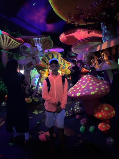 In Binh Lu, Vietnam, a brightly lit indoor space is adorned with large, colorful mushroom decorations in hues of pink, orange, yellow, and purple, many featuring polka dots. A child wearing an orange jacket and light-colored pants stands near a large, striped mushroom. Other individuals are partially visible amidst the decorations. The environment is illuminated with what appears to be blacklights.