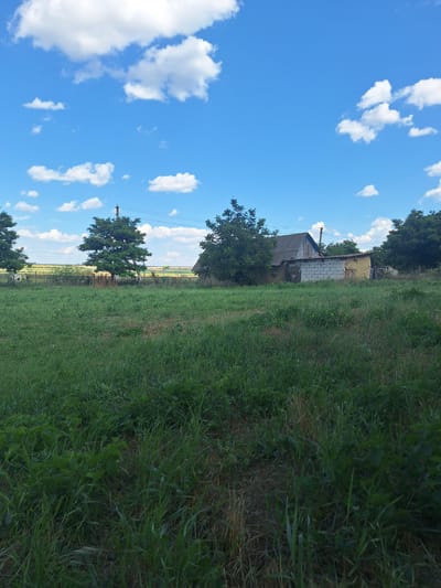 A rural scene in Cimișlia, Moldova, depicts a small, aged dwelling with a brick and stucco facade, topped by a weathered, sloped roof. The building appears to be situated in a field of tall green grass, with trees surrounding it. The sky is a vibrant blue, dotted with fluffy white clouds, suggesting a clear day. In the distance, a flat landscape stretches out, possibly indicating farmland. Power lines are visible, supported by a utility pole, hinting at the presence of infrastructure in the area. The overall impression is one of a humble, rural existence, possibly in the countryside of Moldova, on a pleasant day.