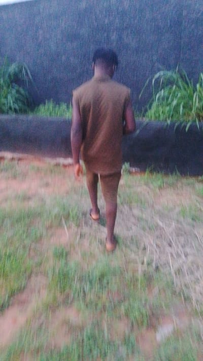An outdoor, blurred photograph captures a person walking away from the camera in what appears to be a rural or semi-rural setting in Enugwu-Ukwu, Nigeria. The individual, seen from behind, is wearing a sleeveless, earthy-toned top and matching shorts or short trousers. They have dark skin and are wearing light-colored sandals or flip-flops.
The person is walking on a grassy path with patches of reddish-brown earth. In the midground, there is a low, dark wall or raised earth embankment covered in some vegetation. Behind this, taller, vibrant green grass and foliage are visible. The background features a large, dark, textured wall or structure, possibly concrete or a dense hedge, which extends across the frame.
The image has a soft, muted light, suggesting either dusk, dawn, or an overcast day. There is significant motion blur, particularly in the foreground grass and the person's lower body, indicating movement during the capture. No discernible text is visible in the image. The overall impression is one of a solitary figure in motion within a natural, somewhat unkempt environment.