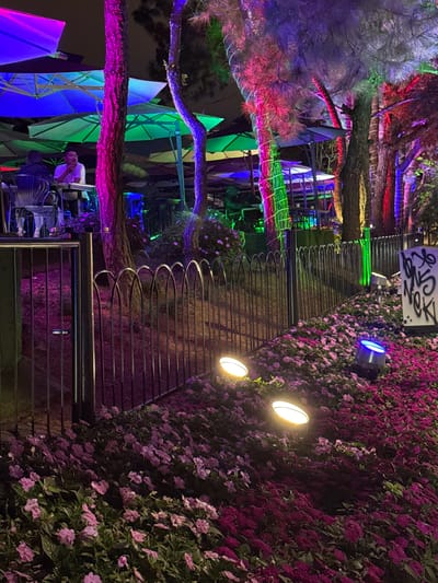The image depicts an outdoor seating area illuminated by vibrant, multi-colored lights. The scene is set at night, with a focus on the lush, dark foliage and flowers that dominate the foreground. Several trees are visible, their trunks and branches adorned with string lights in shades of pink, purple, and green. In the background, large umbrellas, lit with blue and green lights, are clustered together, suggesting a dining or social establishment. A black metal fence separates the foreground from the background seating area. A person is seated at a table in the background, partially obscured by a tree trunk. The overall impression is of a lively, atmospheric nighttime venue, likely a garden cafe or restaurant in Xuan Huong Lake, Da Lat, Vietnam, known for its picturesque landscapes and blooming flowers.