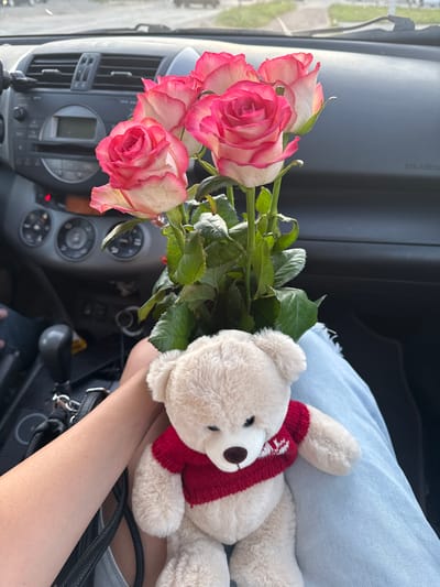 A bouquet of pink and white roses is held by a person sitting in the passenger seat of a car. The roses are positioned in the foreground, obscuring a portion of the car's dashboard. The dashboard features an infotainment screen and climate control knobs. In front of the person's lap, a light brown teddy bear wearing a red sweater with white detailing is resting. The person is wearing light blue jeans. The scene appears to be in the city of Volzhsk, Russia, based on the embedded location data.