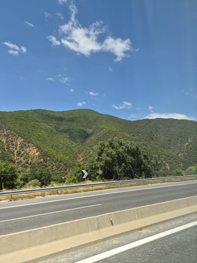 The image captures a view from a road, likely a highway, looking towards a green, tree-covered mountainside under a bright blue sky with scattered white clouds. In the foreground, a multi-lane asphalt road is visible, with concrete barriers and guardrails separating the lanes and the roadside. The mountains in the background are densely vegetated with trees and scrub, exhibiting varied shades of green and brown, with some rocky outcrops visible. A curved road sign with a chevron pointing to the left is present on the roadside. The scene appears to be a natural landscape observed from a moving vehicle, suggesting a travel context. The specific location in the Municipal Unit of Promachonas, Greece, is a mountainous region, characterized by its lush vegetation and the presence of infrastructure like roads for transport.