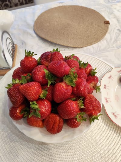 A close-up, overhead shot features a white plate overflowing with vibrant red strawberries. The plate rests on a white placemat with a woven texture. In the background, a round, woven placemat with a brown leather tab is visible on a patterned tablecloth. To the left, a metal napkin holder with white napkins is partially in view. To the right, a white plate with a delicate pink floral pattern is partially visible. The scene appears to be set on a table, possibly in a home environment, and there is no indication of the specific location within Kstovo, Russia. There are no people or actions depicted in the image.