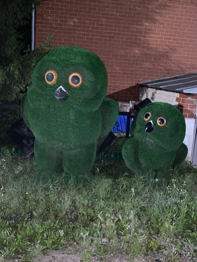 The image shows two artificial owl topiaries, one larger and one smaller, positioned in a grassy area outside a brick building. The topiaries are made of green material and have large, circular eyes with orange and black irises and a black beak. The larger owl is on the left, and the smaller one is to its right. The background includes a dark green evergreen tree on the left, a red brick wall, and a structure with a silver-sloped roof. The ground is covered with grass and some scattered small white flowers. The lighting suggests it may be dusk or nighttime. The location is identified as Бескөл ауылдық округі, Kazakhstan.