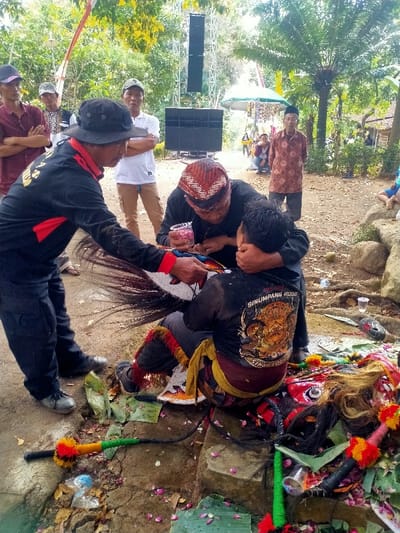 The image depicts an outdoor scene in Menjing, Indonesia, featuring a traditional event or ritual. In the immediate foreground, three adult males are engaged in a central activity on an unpaved dirt ground marked by scattered green banana leaf pieces and red/pink flower petals.
To the left, a standing male, attired in a black long-sleeved shirt with red accents, black trousers, and a dark boonie hat, leans forward, extending his right hand towards a white and red stylized horse prop (kuda lumping) with a prominent black tail.
In the center, a male wearing a black shirt and a traditional reddish-brown batik-patterned headwrap is kneeling or bent over. He holds a clear plastic cup containing red and pink flower petals in his left hand and has his right arm around the shoulder of the third male. He appears to be performing a ritualistic action or preparation.
To the right, a male, wearing a black long-sleeved shirt with a yellow, orange, and red "SINUMPANG ROGO" graphic on the back, is seated or crouched low. He is adorned with patterned traditional leg coverings and has his left hand covering his mouth/chin area.
On the ground surrounding these individuals are various objects consistent with traditional performances: a multi-colored whip-like object (pecut), and at least two traditional red and black masks or headdresses, laid on banana leaves and surrounded by petals. Several clear plastic cups and miscellaneous plastic debris are also present.
In the background, a large sound system, consisting of a tall metal structure holding multiple black line array speakers and a subwoofer, is prominently displayed. Several male spectators are observing the scene, some with crossed arms. The environment is characterized by dense green trees and foliage, including palm trees, indicating a natural or semi-rural setting. The ground is primarily unpaved earth with some visible concrete or stone edging.