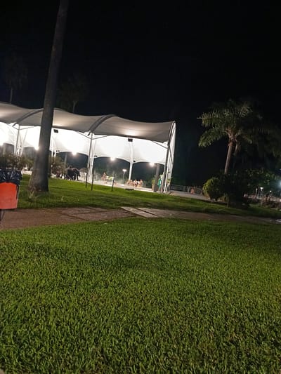 The image shows a nighttime scene in Termas del Daymán, Uruguay. In the background, a series of white, arched canopies are illuminated from within, casting a bright light. People are gathered inside and around what appears to be a pool or hot spring. A dark tree trunk is visible on the left, partially obscuring the view of the canopies. To the right, a palm tree stands against the dark sky. In the foreground, a large expanse of green grass is the primary focus. A path or paved area is situated between the grass and the canopies. An orange trash can is visible on the left edge of the image. The overall impression is that of a recreational area illuminated at night.