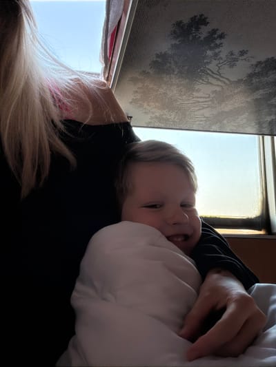 The image captures a heartwarming moment between a child and an adult, rendered with a cozy and affectionate atmosphere. The photograph is oriented vertically, rotated 90 degrees clockwise from what would likely be its original horizontal composition.
In the center-right of the frame, a young child, likely a toddler, is prominently featured, smiling broadly with an open mouth, revealing teeth. The child has light-colored hair, brushed to the side, and looks directly at the camera with bright eyes, exuding happiness. They are wearing a dark-colored top, possibly black.
The child is nestled close to an adult, whose presence is indicated by a visible arm and hand, gently holding or embracing the child, and a large quantity of long, light-blonde or light-brown hair cascading into the lower-left corner of the frame. The adult is also wearing a dark-colored top, matching the child's. A significant portion of white, soft-looking fabric, likely a blanket, duvet, or pillow, is wrapped around the child and the adult's arm, contributing to the sense of comfort and warmth.
The background reveals details of the setting. To the upper-left, a window is visible, letting in bright natural light, suggesting it is daytime. The window frame appears dark and somewhat aged. Adjacent to the window, on what appears to be a wall or a window blind, there is a striking monochrome pattern depicting a detailed forest or tree scene with intricate foliage and branches, rendered in shades of gray and black with a subtle textured background. A hint of a reddish or pink curtain can be seen near the bottom edge of the frame, partially obscuring the window.
The overall impression is one of joy, intimacy, and a secure bond between the child and the adult, captured in a candid and affectionate moment.