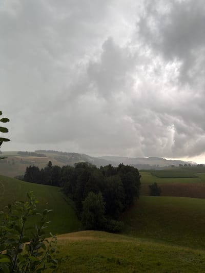 This is a landscape photograph of rolling hills and fields under a heavily overcast sky. The scene depicts a rural environment, likely in the vicinity of Ufhusen, Switzerland, given the terrain and typical agricultural landscape.
In the foreground, on the left side of the image, are dark green leaves of a plant, partially obscuring the view. The middle ground is characterized by lush green, undulating fields and patches of dark green forest. Several trees are visible, some clustered together to form a dense wood. Further in the distance, more rolling hills are layered, with fields of varying shades of green and brown, suggesting agricultural activity such as crops or pastures. A few small buildings or structures can be discerned in the mid-distance, nestled among the hills.
The sky is filled with dense, grey clouds, creating a somber and diffused light. There is evidence of rain, with visible streaks of falling water droplets scattered across the scene, particularly noticeable in the mid-ground and on the foliage. The overall atmosphere is one of a cloudy, possibly rainy, day in the countryside. There are no people or animals visible in the image.