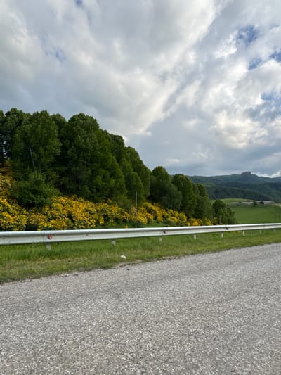 The image depicts a roadside view with a gravel road in the foreground, a metallic guardrail, and a hillside covered in lush green trees and vibrant yellow flowers. The background features rolling hills and a cloudy sky. No people or specific actions are visible in the scene. The location is identified as Verkhnyaya Mara, Russia.