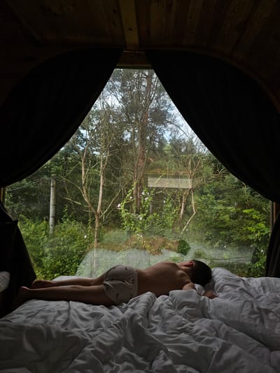 An individual is lying face down on a white duvet within a room that has a large, arched window offering a view of a lush green forest. The room's interior, visible in the foreground, is dark and features wooden paneling on the ceiling. The window is partially covered by dark drapes, creating a framed view of the outdoor environment. The individual is shirtless and wearing patterned underwear, positioned with their head to the right and feet to the left. The forest outside is dense with trees and foliage, appearing to be a natural, undeveloped area. The specific location of Ulitkino, Russia, is not discernible from the visual information presented in the image.
