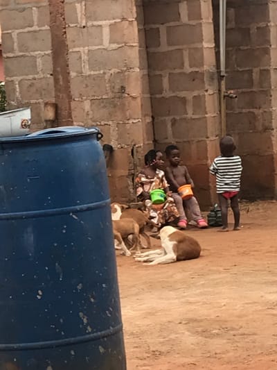 The image depicts an outdoor scene in Ogodo, Nigeria, characterized by unpaved reddish-brown earth and a background concrete block wall. A large blue plastic barrel, stained with white splatters, occupies the left foreground.
Three young children are visible. Two children are seated against the concrete block wall towards the right. The child on the left wears a patterned dress and holds a green plastic bucket. The child to their right is shirtless, wears light-colored trousers, and holds an orange plastic bucket. A third child stands with their back to the camera on the right, wearing a white and black striped t-shirt and red underwear.
Multiple dogs are present on the unpaved ground in front of the children. One medium-sized dog, primarily brown with white markings, lies on the ground on the right. To its left, several smaller, mostly brown dogs are standing or moving. Behind the seated children, near the wall, several black plastic containers are visible. A white container is also visible in the far upper-left background.