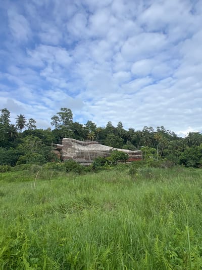 The image depicts a landscape in Walahanduwa, Sri Lanka. A large concrete structure under apparent construction or renovation, supported by scaffolding, is situated amidst dense tropical vegetation, including palm trees and a variety of leafy plants. To the right of the structure is a field of tall green grass. Overhead, the sky is visible with scattered cumulus clouds. The picture seems to have been taken on a cloudy day.