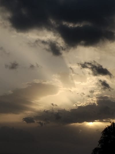 The image displays a cloudy sky over Pyli, Greece, at either sunrise or sunset. Dark grey and black cumulus clouds dominate the upper and central sky, obscuring much of the ambient light. A bright, golden-yellow sun is partially visible through a break in the clouds near the lower right horizon. Multiple distinct crepuscular rays emanate from this obscured light source, fanning upwards and diagonally across the sky, piercing through gaps in the cloud formations. The sky's ambient lighting varies from deep grey in shadowed cloud areas to a warm, diffuse golden light where sunlight penetrates. A dark, indistinct silhouette of tree foliage is visible in the extreme lower right corner of the frame. No individuals, animals, or specific man-made objects are depicted, and no actions or interactions are occurring.