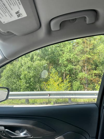 The image shows a view from inside a car looking out through the window at a roadside scene. The interior of the car features a grey headliner with a grab handle and a sun visor. The window reveals a bright, sunny day with lush green trees and some yellow flowering bushes. A metal guardrail runs along the roadside, with more greenery behind it. The window has a circular sticker or decal on it, and a small rectangular sticker with text and graphics is visible on the lower right portion of the window. The car's interior door panel is visible in the foreground, with a textured armrest and a chrome door handle. The image does not contain any information or visual cues that would allow for its location to be specified in Voskresensk, Russia.