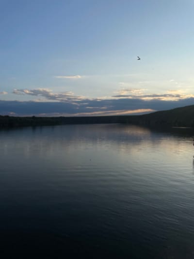 A tranquil scene shows a body of water reflecting the sky. The sky transitions from a bright blue to a soft, cloudy horizon with hints of sunset colors. Along the horizon, land with trees is visible. A small bird is flying in the sky. The water has slight ripples, mirroring the sky's light. The scene exudes calmness.