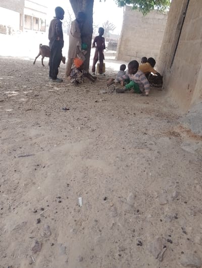 The image depicts an outdoor, dusty environment in Kanwa, Nigeria, under bright daylight. The foreground is dominated by dry, light brown earth, sparsely covered with small rocks, pebbles, and dark granular material consistent with animal droppings.
Seven individuals are present. In the midground, a large tree trunk, providing shade, anchors a cluster of people. To the left of the tree, a tall male in dark attire stands with hands clasped. Leaning against the left side of the tree trunk is an adult male wearing a light-colored, long garment, partially obscuring a smaller individual seated at the tree's base, wearing an orange head covering and patterned clothing. To the right of the tree, another child, clad in a dark reddish-brown top and shorts, stands holding a light-colored rectangular object that rests on the ground.
In the right foreground, a light-colored, possibly cinder block, wall extends into the frame, featuring a dark vertical element. Three children are situated near this wall and in the center foreground. One child, wearing a striped long-sleeved top and green trousers, sits or kneels on the ground in the center, appearing to interact with debris. Another child sits closer to the wall, partially obscured, and a third child in a yellow top is further right, leaning forward near the wall, seemingly engaged with the ground.
In the left background, behind the standing tall male, a brown goat stands on four legs, facing right with its head slightly lowered. Further in the background, a light-colored building with multiple windows is visible. Shadows suggest a high sun angle.