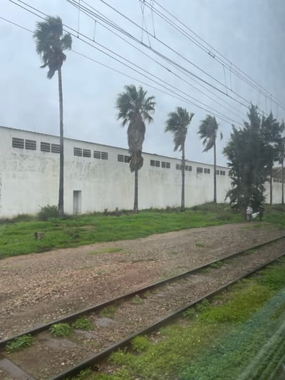 A row of palm trees lines a white building with evenly spaced, rectangular windows. Overhead power lines stretch across the sky. A train track runs parallel to the building, bordered by gravel and vegetation. The scene appears to be captured from a moving train or vehicle, as the perspective is angled and slightly blurred. The sky is overcast, suggesting a cloudy day.