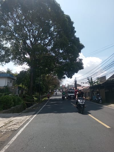 The image depicts a street scene on a sunny day. The road is asphalt with a yellow line marking lanes. A person rides a black scooter toward the camera. Further down the street, a small truck and at least two other scooters are visible. A large tree casts a shadow over part of the road. A building is on the left side. Powerlines crisscross the sky on the right side above buildings. A cloudy sky is visible. The location is unknown.