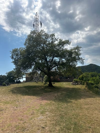 This is a landscape image taken outdoors in Čučuci, Montenegro. The dominant subjects are a large, leafy green tree in the foreground and a metal electrical pylon to its left. The scene is characterized by a grassy field, with dry, straw-colored grass covering most of the ground, suggesting a warm, possibly dry season. The field slopes gently upwards towards a wooded hillside and a mountain in the background.
The sky is partly cloudy with dramatic, grey clouds interspersed with patches of blue sky, indicating variable weather. The sun appears to be casting shadows, particularly the distinct shadow of the tree on the grass, suggesting it is daytime, likely late morning or afternoon.
Notable details include the intricate structure of the electrical pylon with its insulators and wires extending out of frame. The tree itself is mature with a broad canopy. In the mid-ground, there are hints of stone structures and more trees. The overall impression is one of a rural or semi-rural setting, with a blend of natural landscape and human infrastructure. There is no visible text in the image. The scene evokes a sense of natural beauty with the presence of the imposing mountain and tree, contrasted with the industrial element of the pylon.