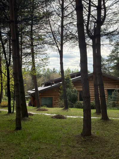 A daytime, outdoor scene focuses on a wooden house nestled among tall trees. The house, built with logs, has windows and a visible roof. A satellite dish is mounted on the roof. The trees, characterized by their dark trunks and bare branches at the top, partially obscure the view of the house and sky. The ground is covered in green grass with patches of disturbed earth. The sky is visible between the trees. Based on the location in Levkovo, Russia, the scene is likely in a wooded area, possibly a suburban or rural setting.