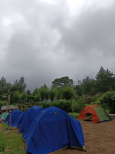 A camping scene unfolds under a heavy, overcast sky. Several blue dome tents line the grassy edge, leading to a single orange and green tent pitched on bare ground. Trees and dense foliage fill the midground, obscuring the landscape behind the campsite. A sense of quiet stillness pervades the scene.