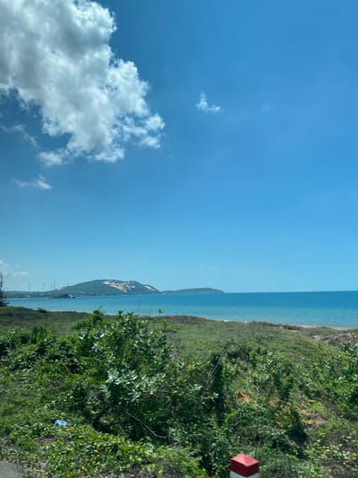 The image depicts a bright, sunny day with a clear blue sky and scattered white clouds. The foreground is dominated by lush green vegetation, including bushes and grasses. In the mid-ground, a body of calm, blue water stretches out to the horizon. Beyond the water, a sandy hill is visible, with wind turbines standing in the distance. The overall scene suggests a coastal environment, likely in Vietnam, given the presence of wind turbines and the landscape. No people or animals are present in the image.