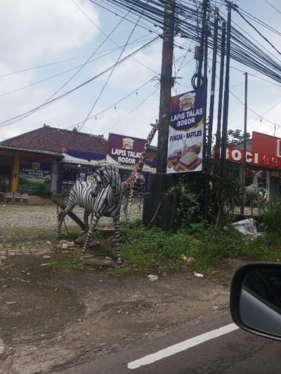 The image captures a roadside commercial area. Contrary to the provided location of Chori, Nigeria, visual evidence from prominent banners displaying "Lapis Talas Bogor" and "Puncak - Raffles" strongly indicates a location in Indonesia, specifically near Bogor and Puncak.
The scene is viewed from a low angle, with a black car side mirror visible in the lower right foreground. The immediate foreground features an asphalt road with a white solid line, transitioning to an unpaved, uneven dirt verge with sparse green grass and scattered litter, including a coconut husk.
Mid-ground elements include two prominent animal statues: a life-sized, black-and-white striped zebra in a walking pose on the left, and a taller, brown-and-tan spotted giraffe behind a utility pole. The central utility pole is thick, wooden, and heavily laden with numerous black electrical and communication wires that crisscross against a light blue, partly cloudy sky. Several vertical dark poles stand adjacent to it on the right.
In the background, commercial buildings line the street. On the left, a building with a reddish-brown tiled roof and large windows features additional banners. Centrally, a building with a purple facade prominently displays multiple banners advertising "Lapis Talas Bogor" with images of layered cakes. To the far right, a red building, partially obscured, shows white lettering that appears to be "BOCI 99," with a third zebra statue partially visible in front of it. No discernible human figures are present. The environment appears to be an active, somewhat weathered commercial zone.