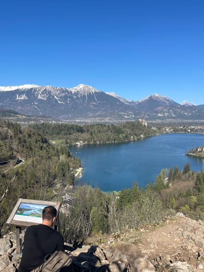 A sunny, outdoor, eye-level shot shows a man standing at a scenic overlook in Bled, Slovenia, viewing a panoramic informational sign. The body of water, Lake Bled, is visible in the background, along with snow-capped mountains and the Bled cityscape. The foreground consists of rocky terrain. The man is wearing a black shirt and has a backpack. He is looking at the sign, which is mounted on a wooden frame. The sign contains an image of the lake and mountains.